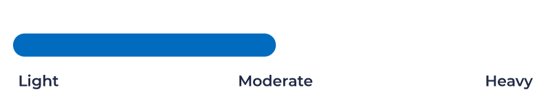 Exudate level light to moderate