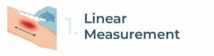 1linear