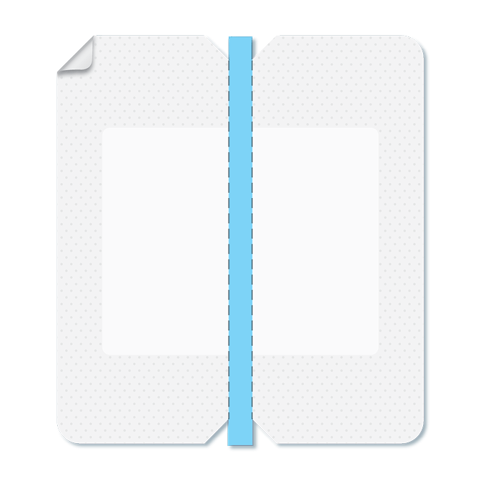 ValGuard 1200px transparent 1